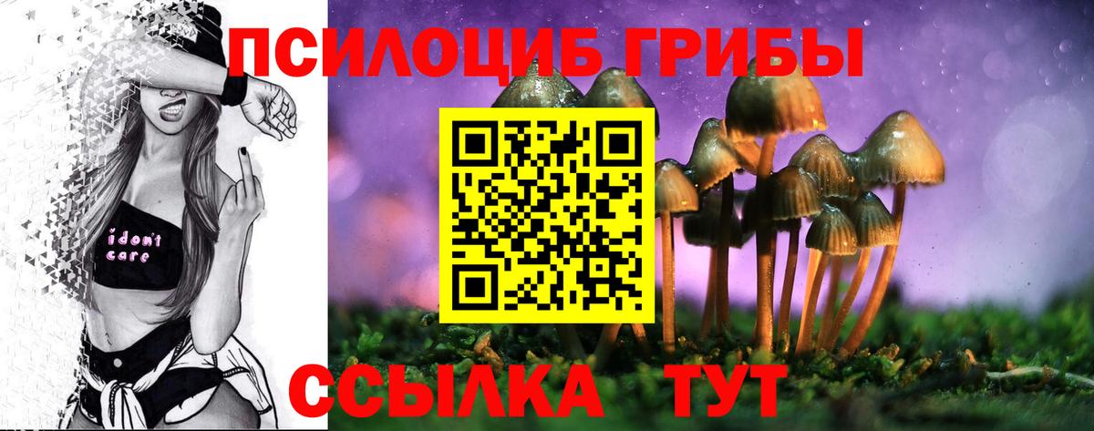 Псилоцибиновые грибы Cubensis Воркута